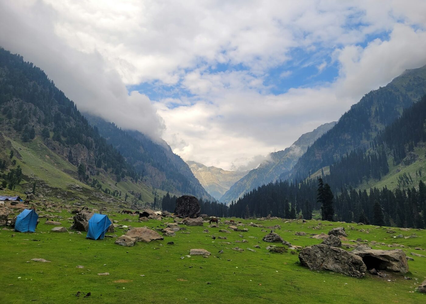 tents in a grassy field