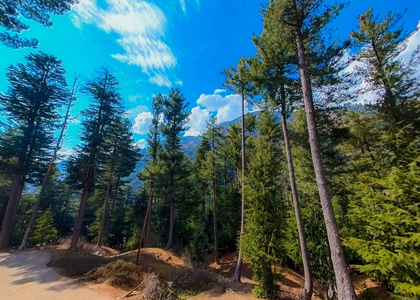 IMG_20240308_134955_00_merged(1)-min