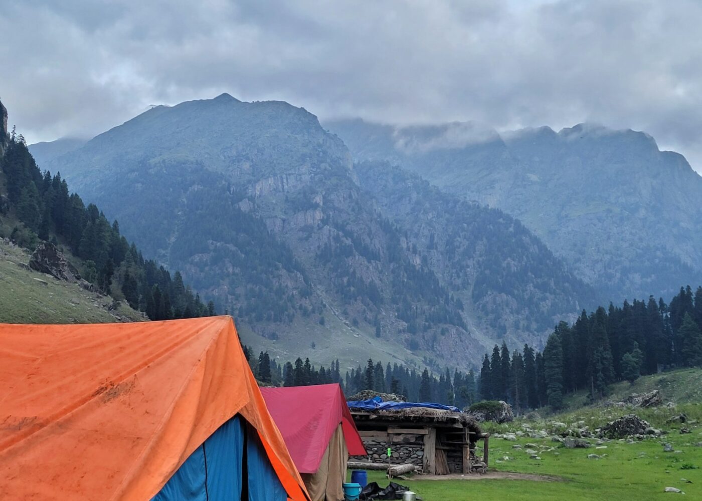 tents in a grassy area with mountains in the background